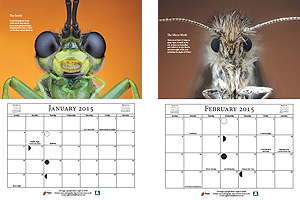 Macro Calendar - January & February