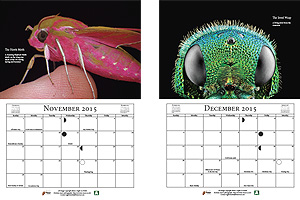 Macro Photography Calendar 2015 - November & December