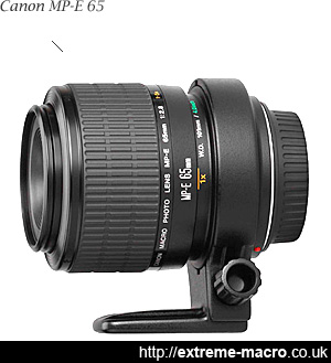 Canon MP-E65 extreme macro lens