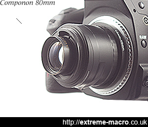 Schneider Kreuznach Componon 80mm f/4 reversed for extreme macro