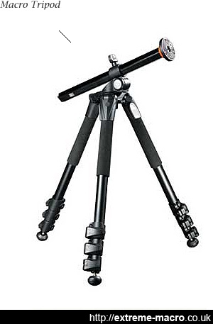 mini tripod for macro photography