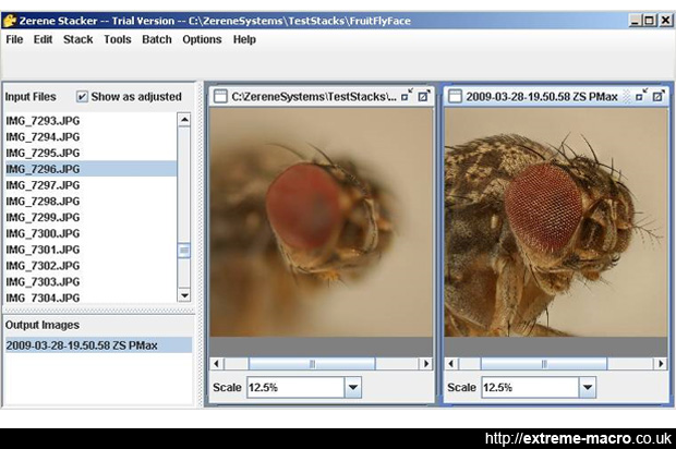 helicon focus tutorials