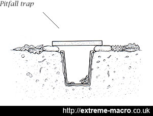 winkler extraction and pitfall traps method mahon