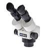 The stereo microscope, makes visualising the final image and preparing the specimen significantly easier