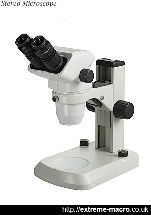 Stereo Microscope