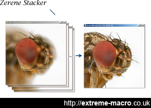 zerene stacker vs photoshop