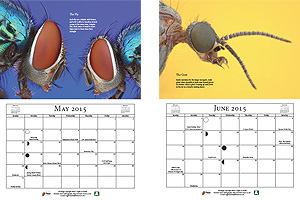 Macro Photography Calendar - May & June